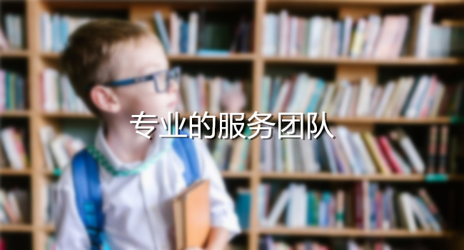 专业的服务团队