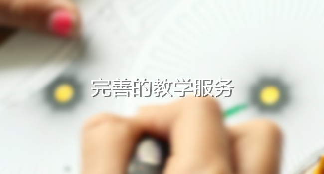 完善的教学服务